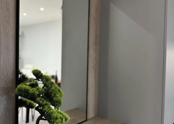 Dolce Risveglio * Mestre