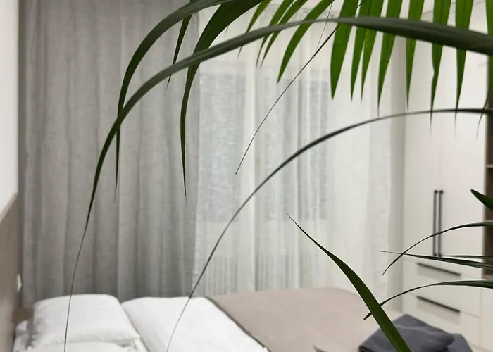 Dolce Risveglio Mestre