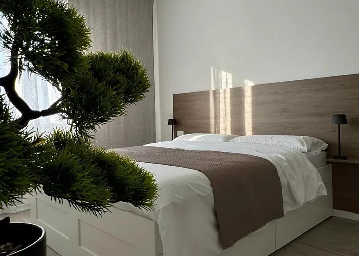 Dolce Risveglio * Mestre