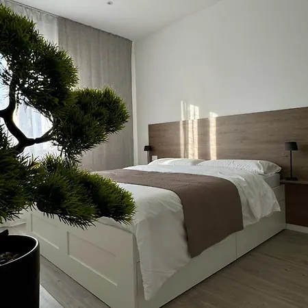 Dolce Risveglio * מסטרה